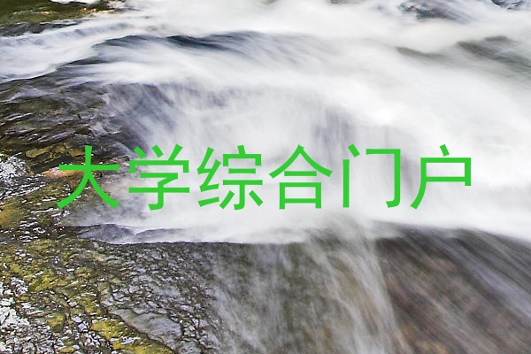 大学综合门户