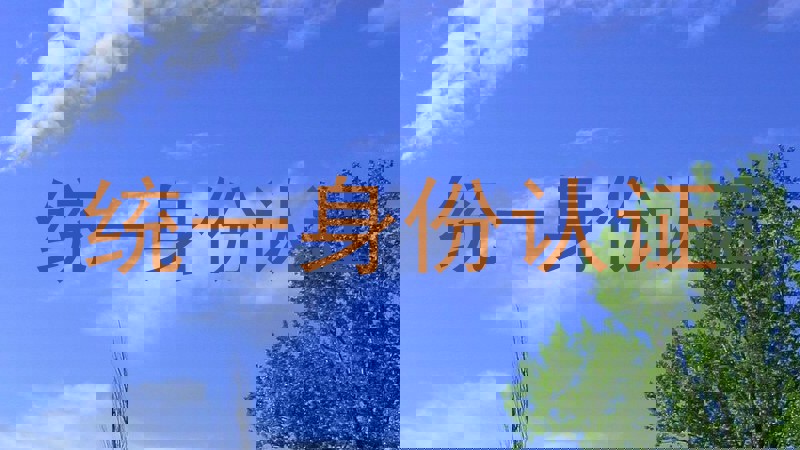 统一身份认证