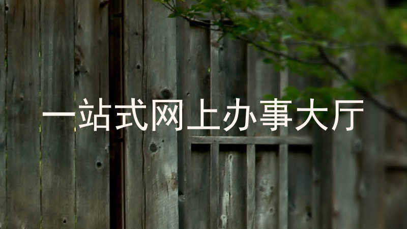 一站式网上办事大厅