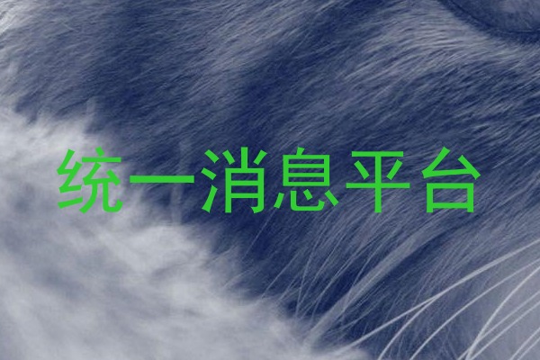 统一消息平台