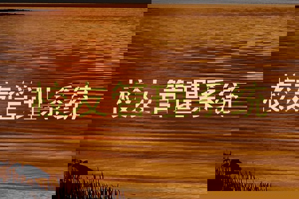 校友管理系统
