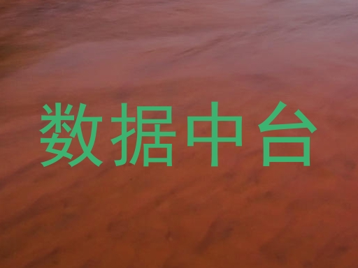 数据中台