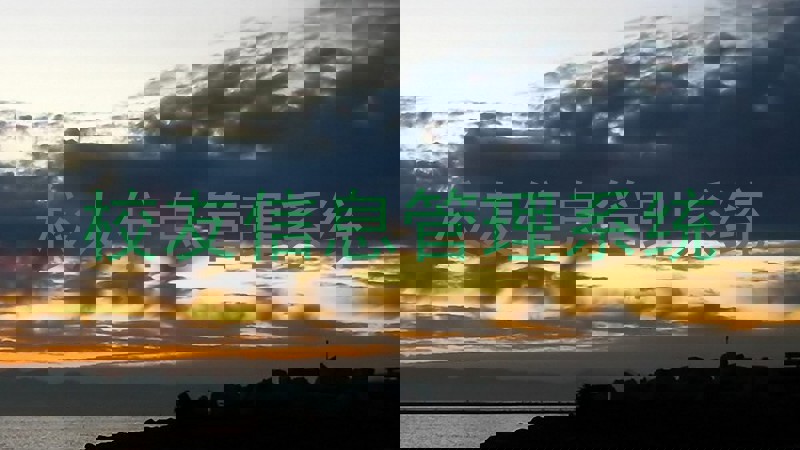 校友信息管理系统