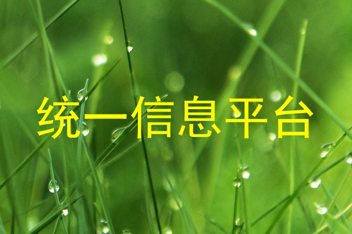 统一信息平台