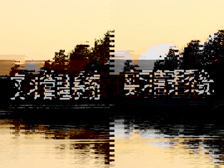 实习管理系统