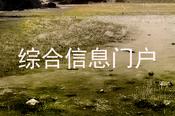 综合信息门户