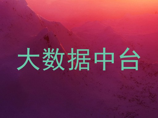 大数据中台