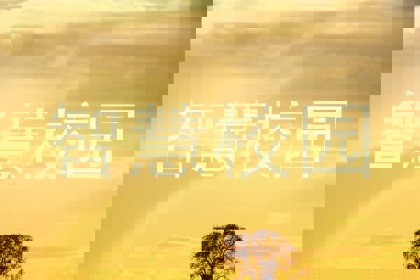 智慧校园