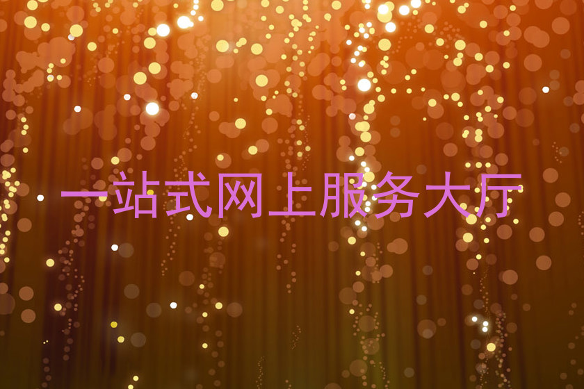 一站式网上服务大厅