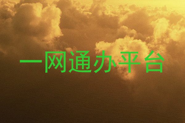一网通办平台