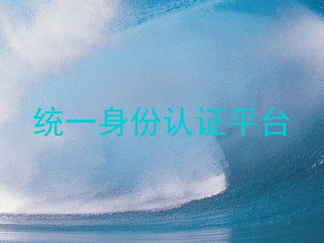 统一身份认证平台