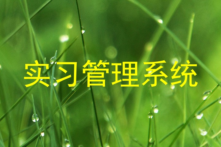 实习管理系统