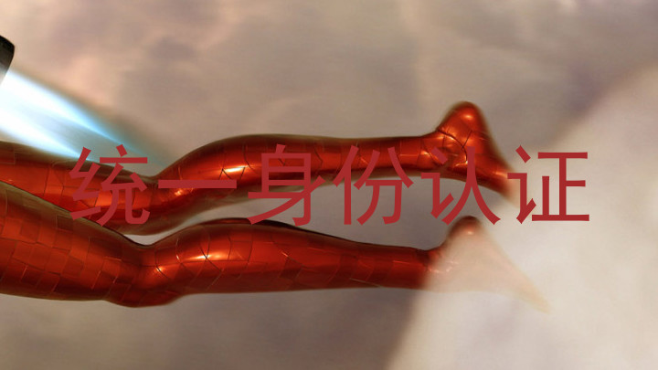 统一身份认证