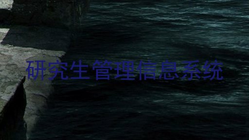 研究生管理信息系统
