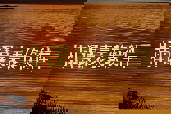 排课表软件