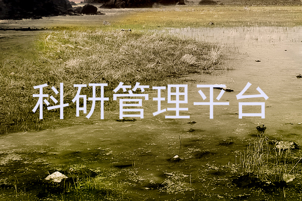 科研管理平台