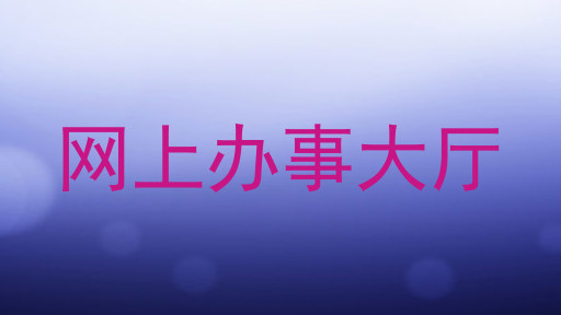 网上办事大厅