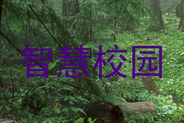 智慧校园