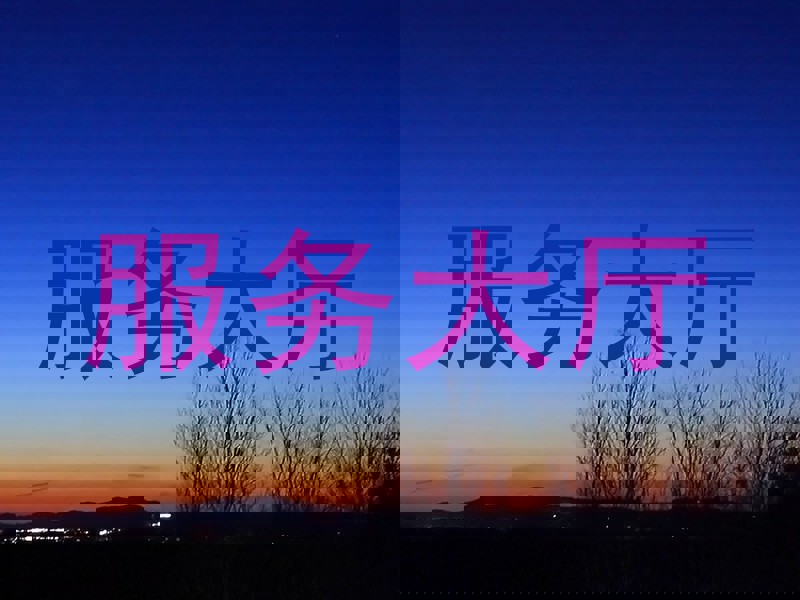 服务大厅
