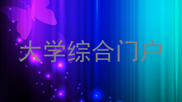 大学综合门户