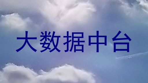 大数据中台