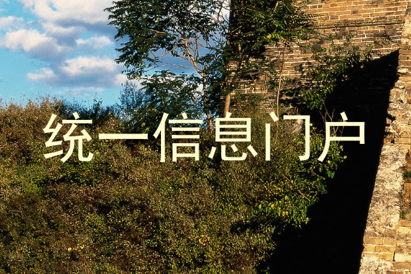 统一信息门户