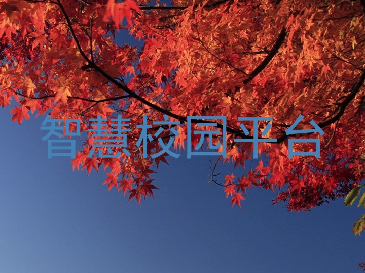 智慧校园平台