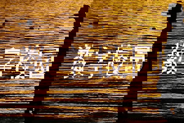 数字校园
