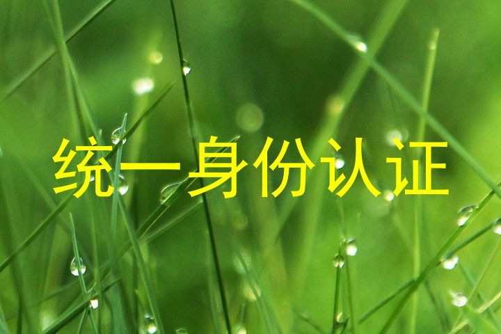 统一身份认证