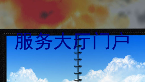 服务大厅门户