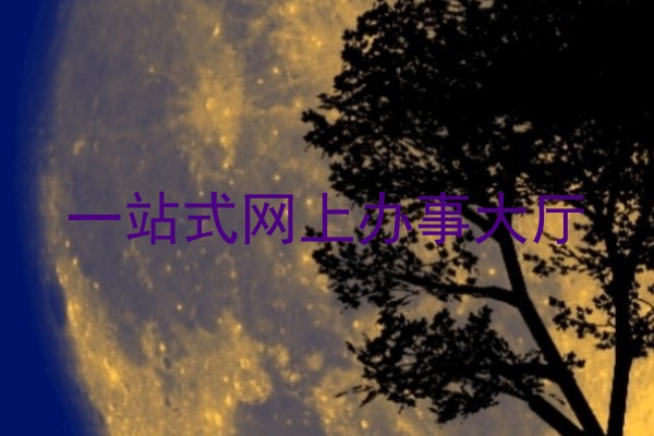 一站式网上办事大厅
