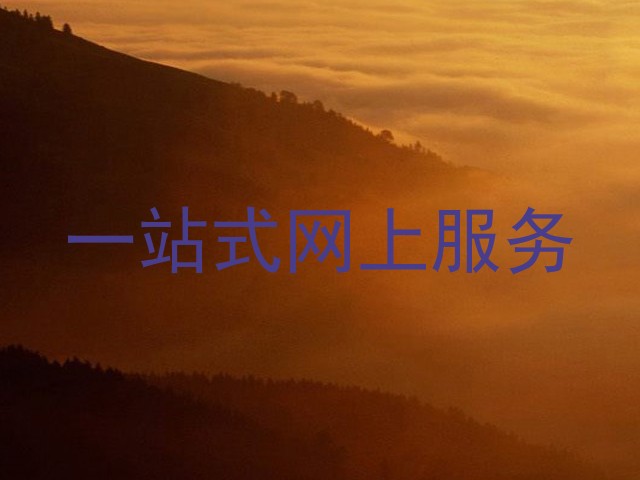一站式网上服务