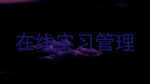 在线实习管理
