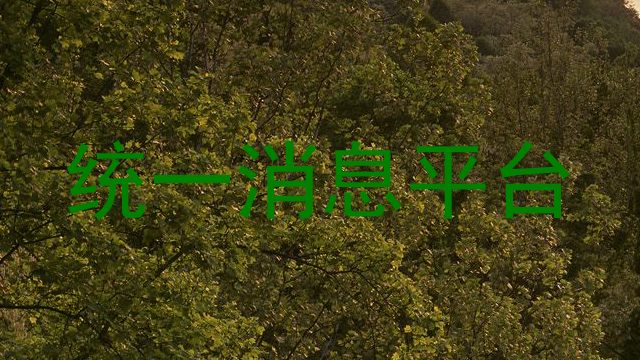 统一消息平台