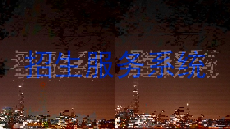 招生服务系统