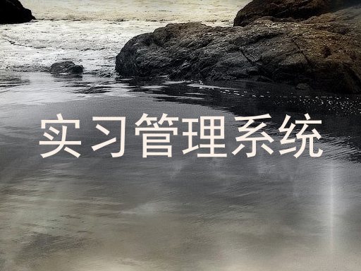 实习管理系统