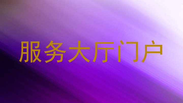 服务大厅门户