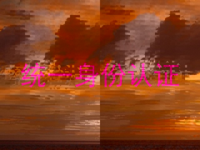 统一身份认证