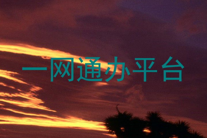 一网通办平台