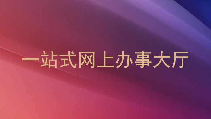 一站式网上办事大厅