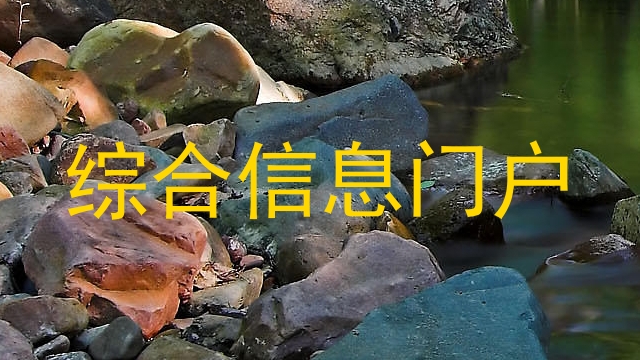 综合信息门户