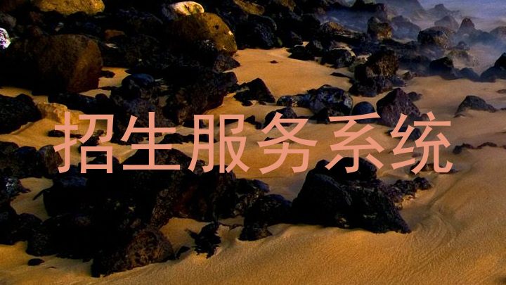 招生服务系统