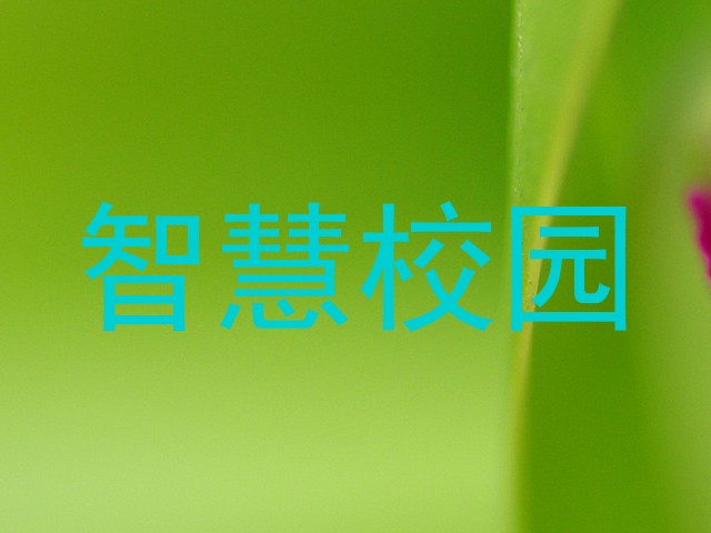 智慧校园