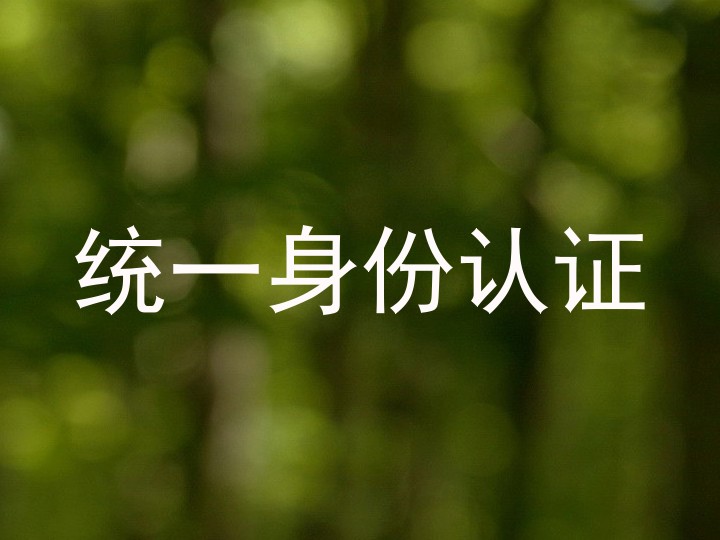 统一身份认证