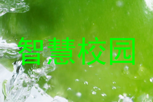智慧校园