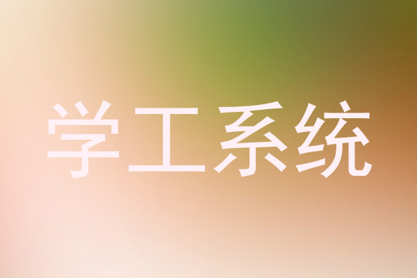 学工系统