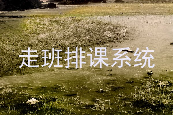 走班排课系统