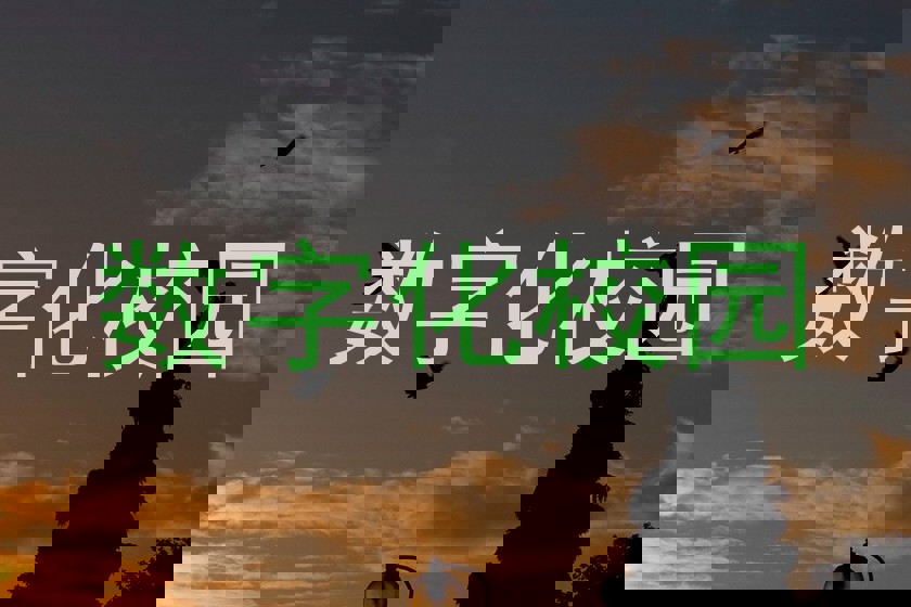 数字化校园