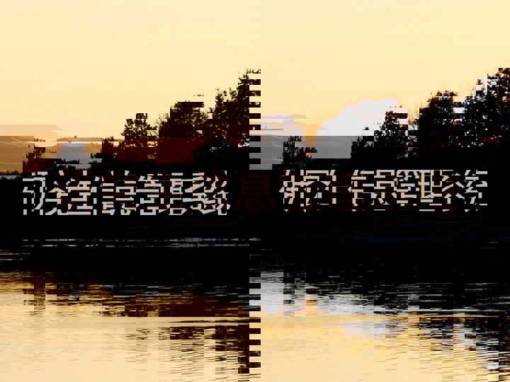研究生信息管理系统