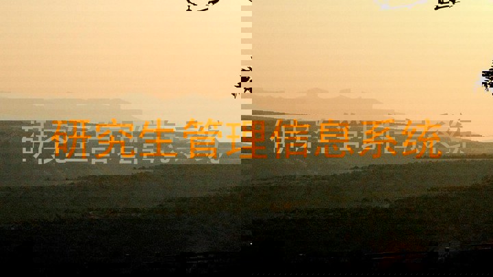 研究生管理信息系统